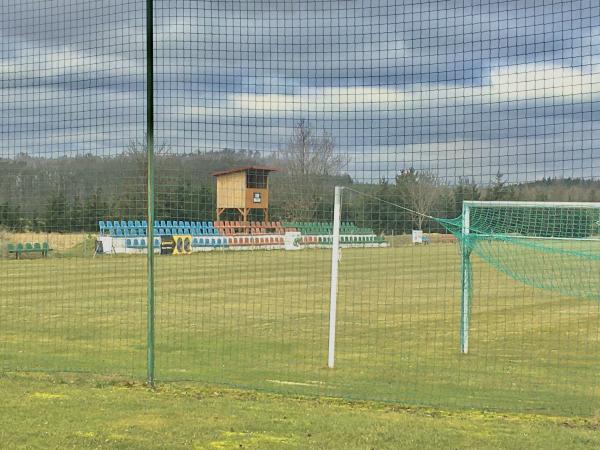 Stadion w Szczedrzykowicach - Prochowice-Szczedrzykowice