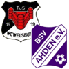 Wappen SG Wewelsburg/Ahden (Ground A)  17306