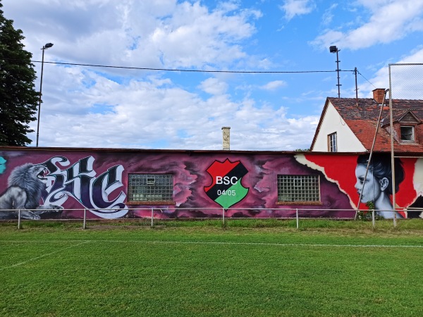 Willi-Pflüger-Anlage - Karlsruhe-Bulach