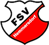 Wappen FSV Hemmersdorf 1927 II