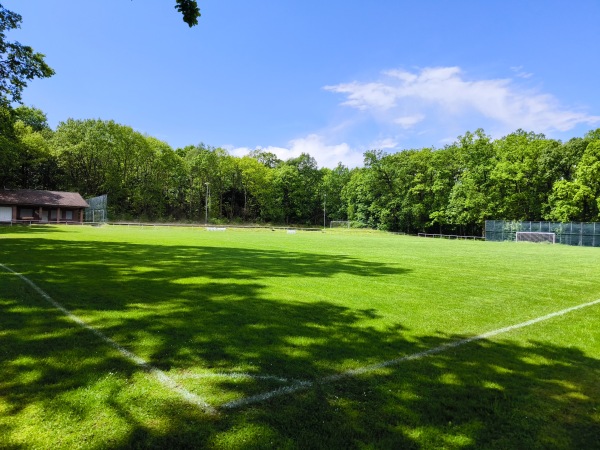 Sportplatz Marienhagen - Duingen-Marienhagen