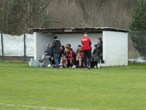 Boisko w Świdnicy - Świdnica (zielonogórski)