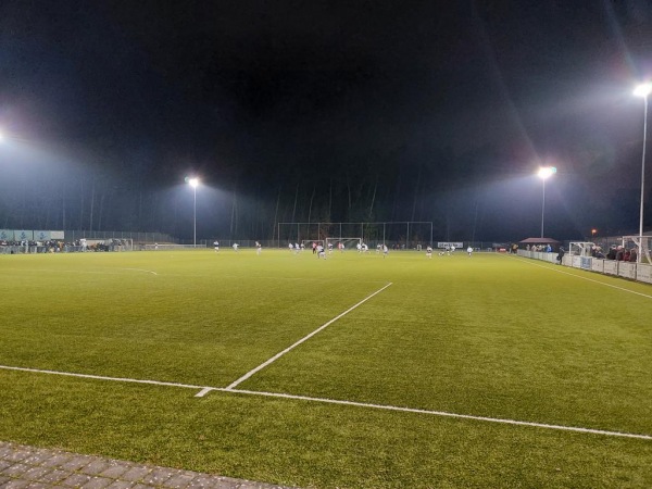 Waldstadion Nebenplatz - Erlenbach/Main
