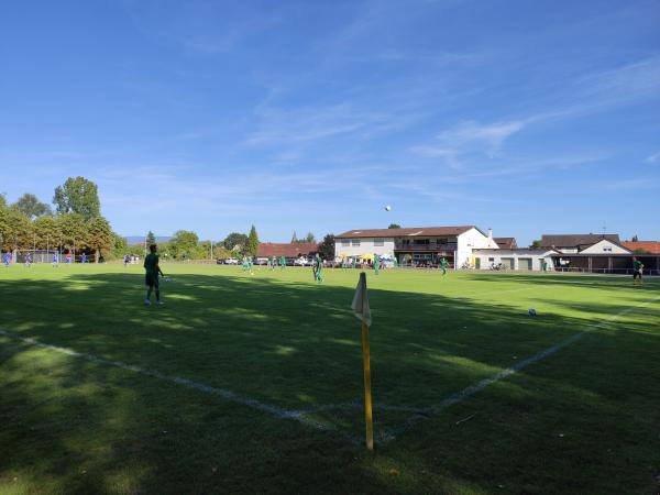 Sportplatz Diersheim - Rheinau/Baden-Diersheim
