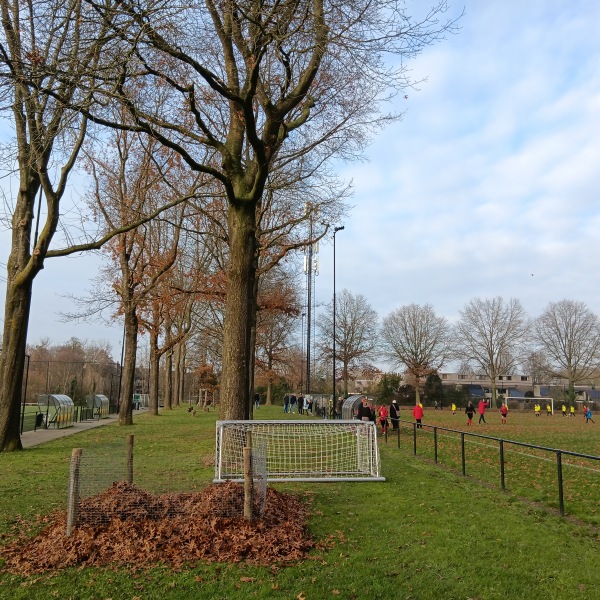 Sportpark Amstelhoef veld 4 - Oss