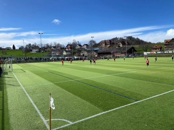 Sportplatz Kreckel Platz 2 - Herisau