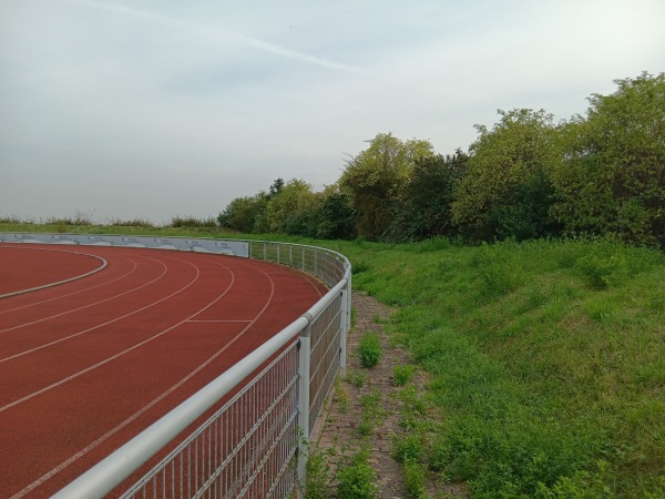 Stadion Am Alten Galgen - Wachenheim/Weinstraße