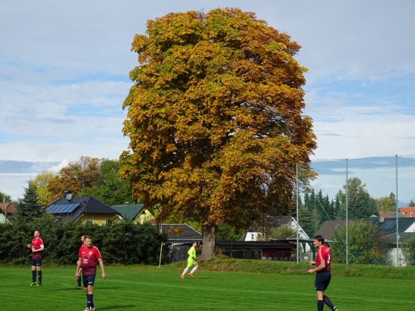 Sportplatz an der Halde 2 - Freiberg/Sachsen-Zug