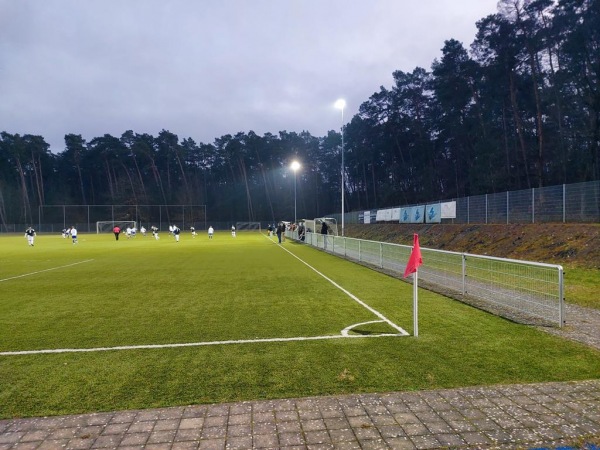 Waldstadion Nebenplatz - Erlenbach/Main