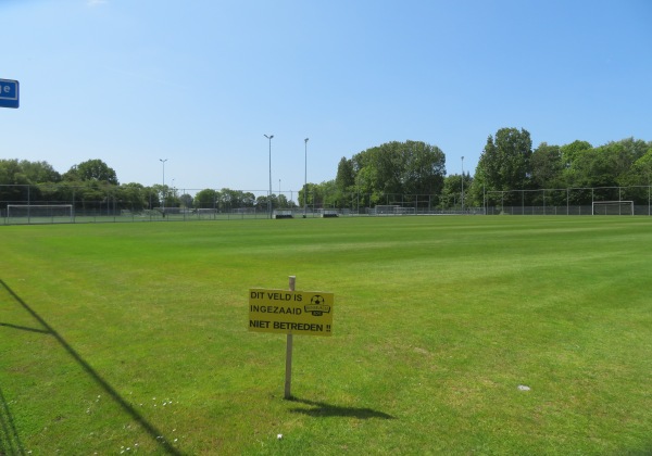 Sportpark Middelmors veld 2 - Rijnsburg