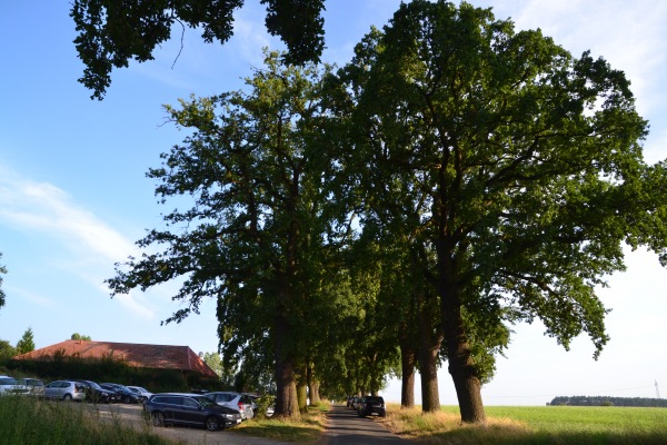 Sportplatz Abbensen - Edemissen-Abbensen