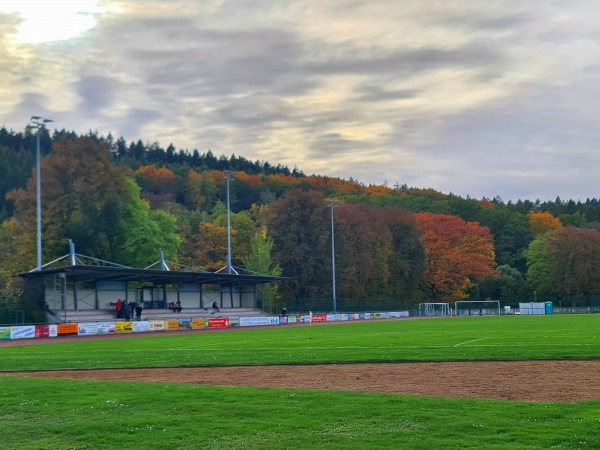 Auenstadion - Flöha