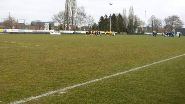 Sportpark Freethiel Terrein 7 - Beveren-Waas