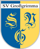 Wappen SV Großgrimma 1921 diverse  69095