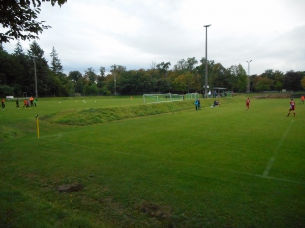 Seppl-Herberger-Stadion Nebenplatz 1 - Waghäusel-Wiesental