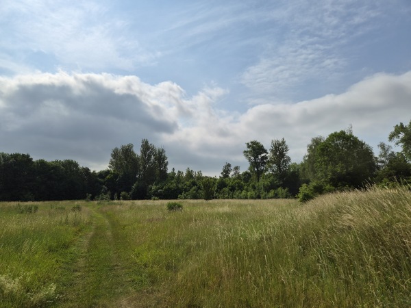 Sportanlage Holzhäuser Straße Platz 5 - Leipzig-Stötteritz