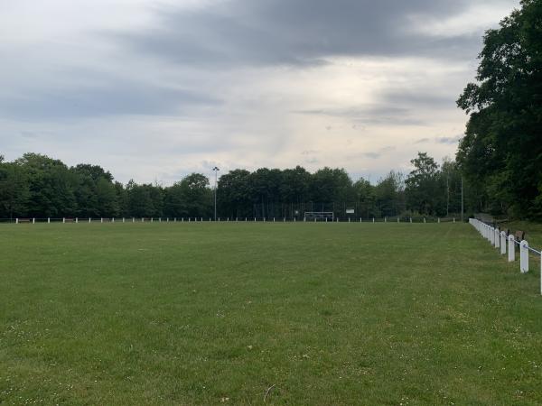 Waldsportplatz - Hungen-Langd