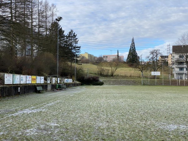 Sportplatz Grenzhof - Luzern