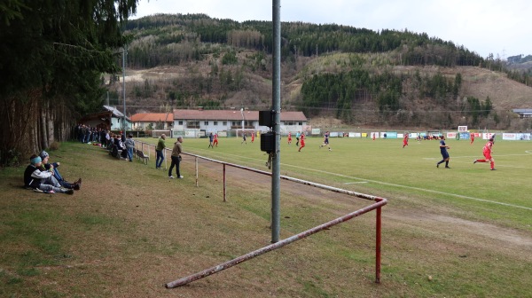 Blumen Schacherl Arena - Proleb