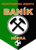 Wappen TJ Baník Hôrka  116796