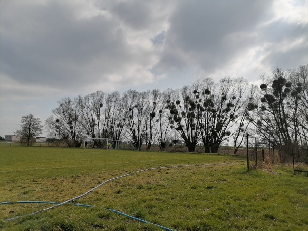 Boisko w Różnowie - Różnowo