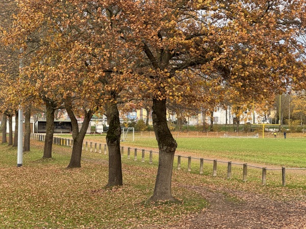 Stadion am Kaffeedamm - Gernsheim/Rhein