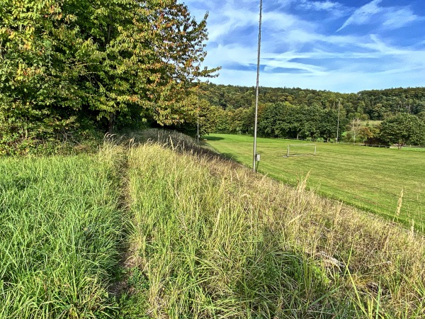 Altes Waldstadion - Horn-Bad Meinberg