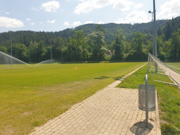Fußballschule am Möslestadion Platz 2 - Freiburg/Breisgau