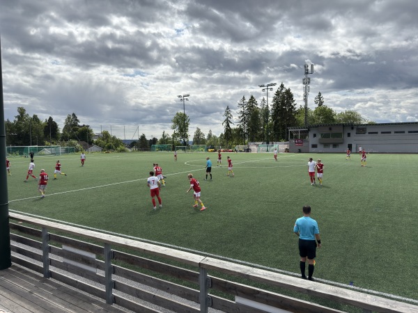 Ullern kunstgress 2 - Oslo