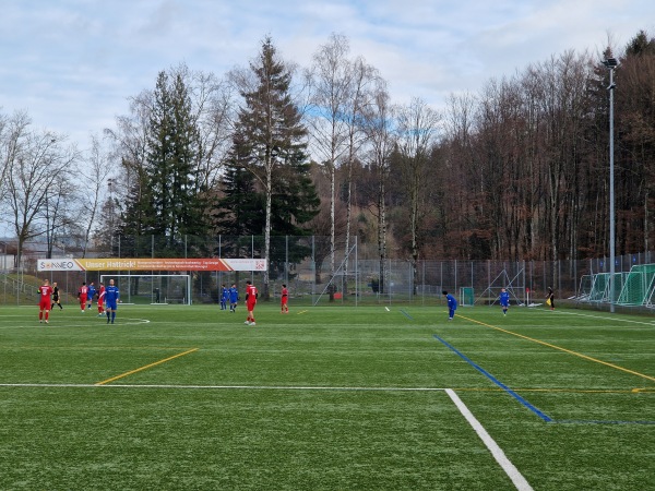 Sportzentrum Eselriet Platz 2 - Illnau-Effretikon