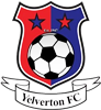 Wappen Yelverton FC