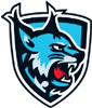 Wappen FC Schömberg Luchse 2023