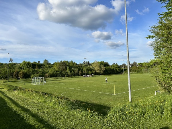 Phönix-Sportgelände Platz 2 - Pfalzgrafenweiler
