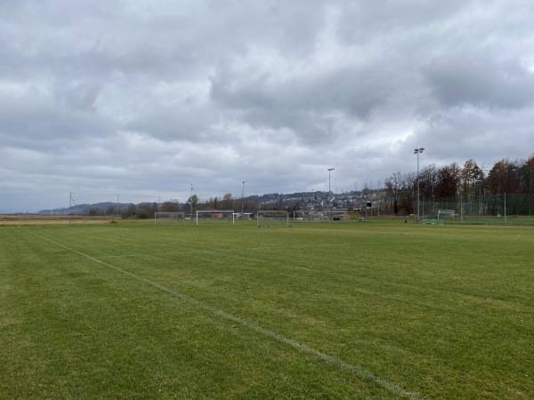 Sportplatz Allmeind Platz 3 - Schmerikon
