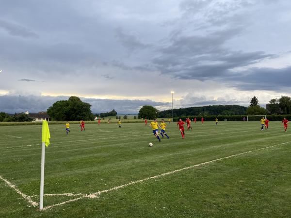 Sportplatz Herdli Nebenplatz - Ramsen