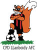 Wappen Llanboidy AFC