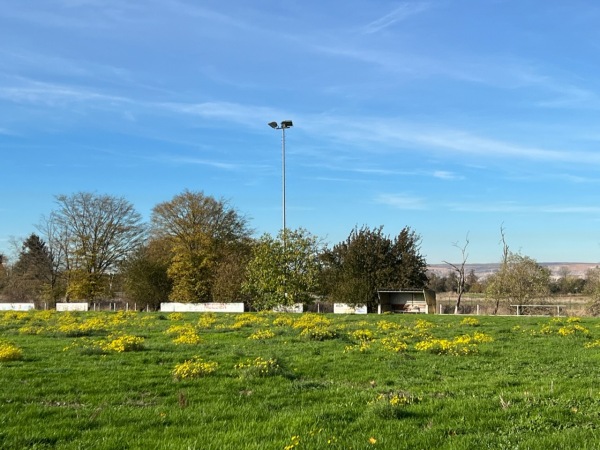 Sportplatz Ludwig-Rixen-Straße - Merzenich-Morschenich
