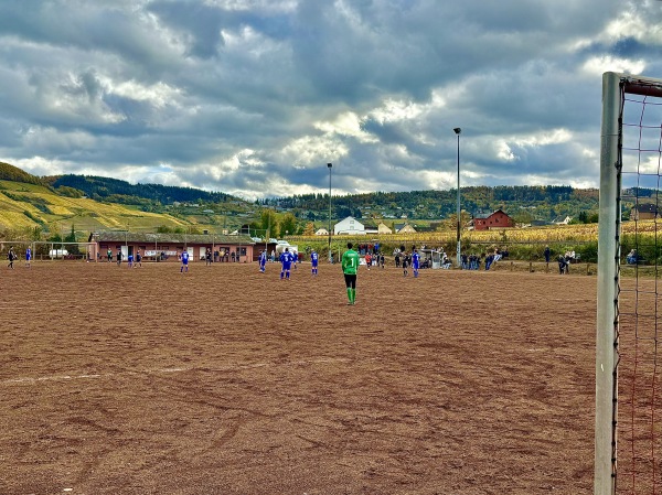 Sportplatz an der B53 - Trittenheim