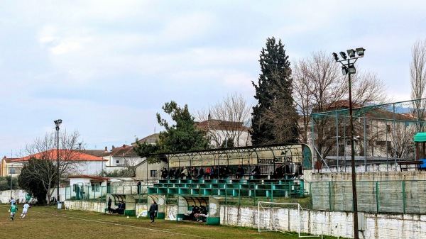 Gipedo Litis - Liti