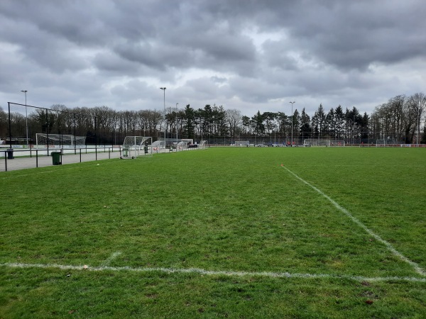 Sportpark Actief veld 3 - Tynaarlo-Eelde