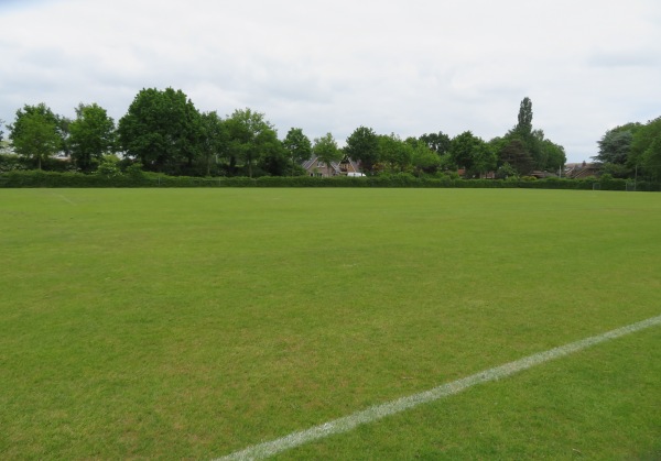 Sportpark Nieuwland veld 3 - Amersfoort