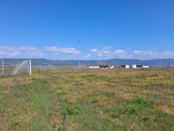 Gipedo Thyella Peristerona - Peristerona