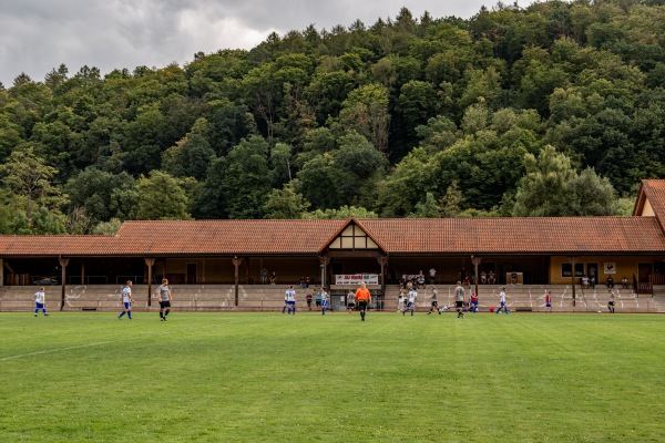 Sportanlage Georg-Schäfer-Straße - Ebelsbach-Gleisenau