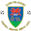 Wappen Newcastle Emlyn FC