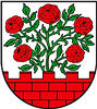 Wappen SV Rot-Weiß Groß Rosenburg 1956 diverse  58170