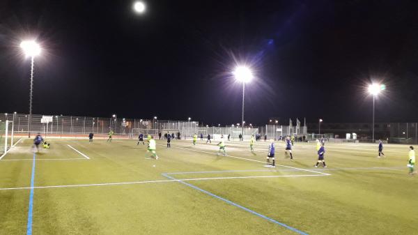 Sportanlage Altenhöferallee - Frankfurt/Main-Riedberg