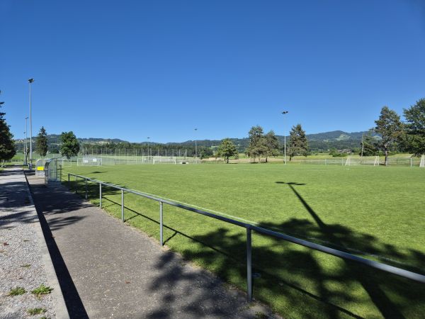 Sportanlage Meierwiesen Platz 2 - Wetzikon