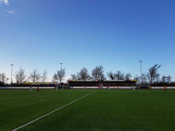 Sportpark Roodemolen veld 1 - Teylingen-Sassenheim