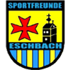 Wappen SF Eschbach 1949 diverse  96723