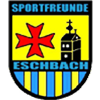 Wappen SF Eschbach 1949 diverse